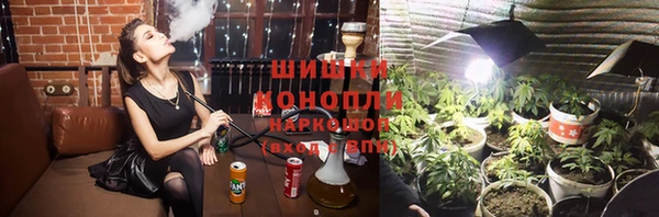 PSILOCYBIN Гусев